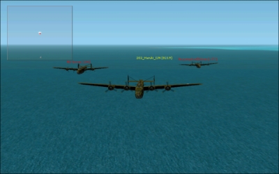 The B24's