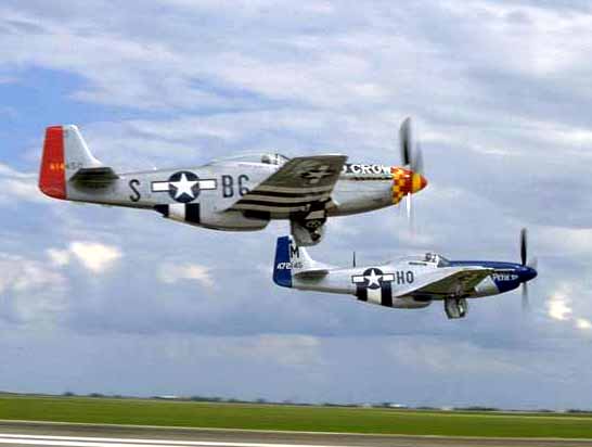 p51_two.jpg